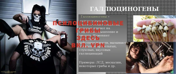 apvp Алексин