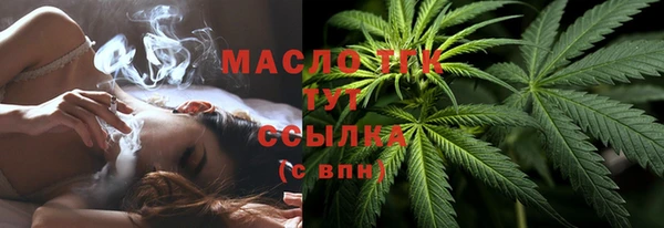 сатива Краснотурьинск